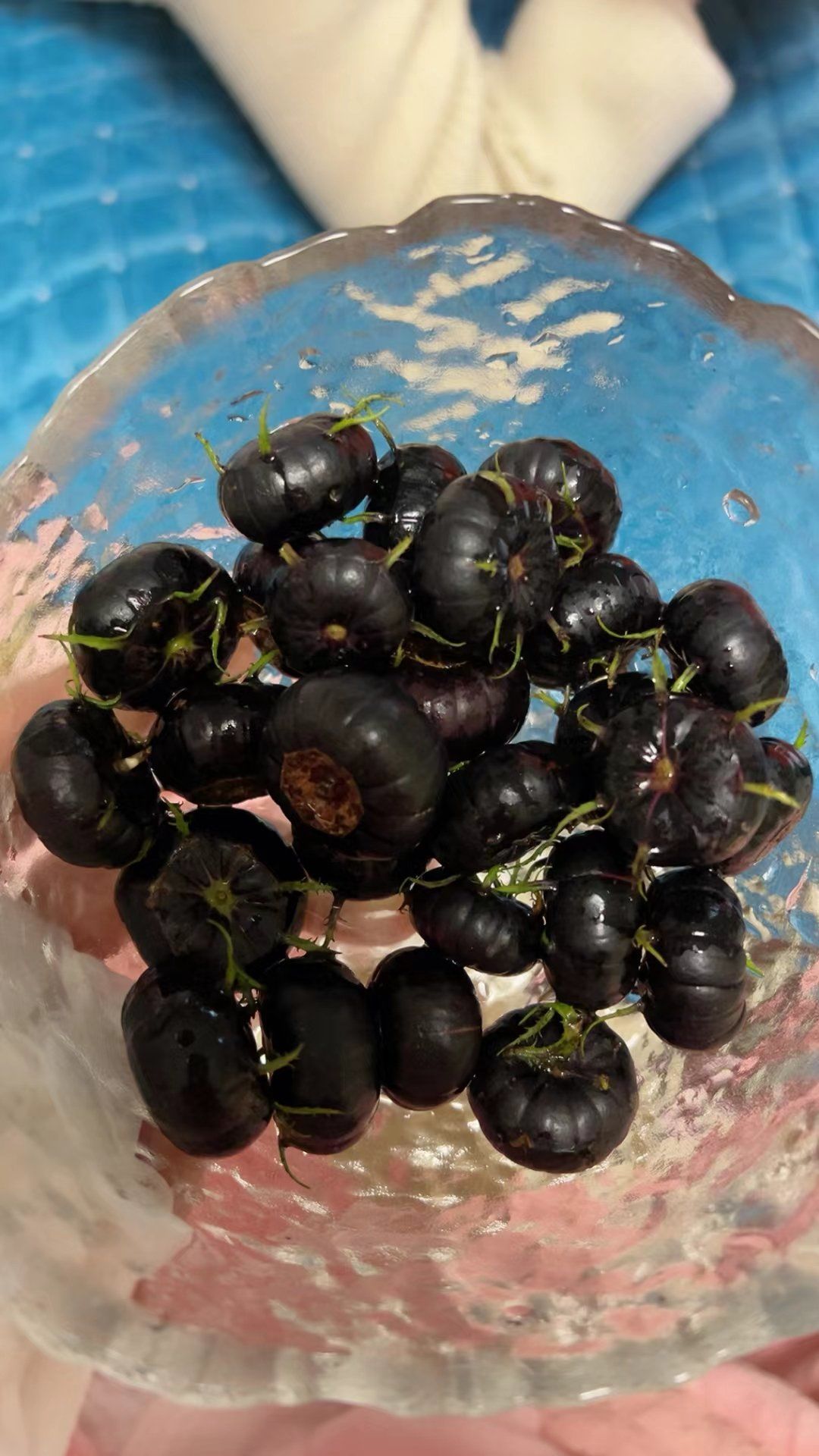 皇冠娱乐网站-|	袵Iu胱&amp;_爢蚴的简单介绍